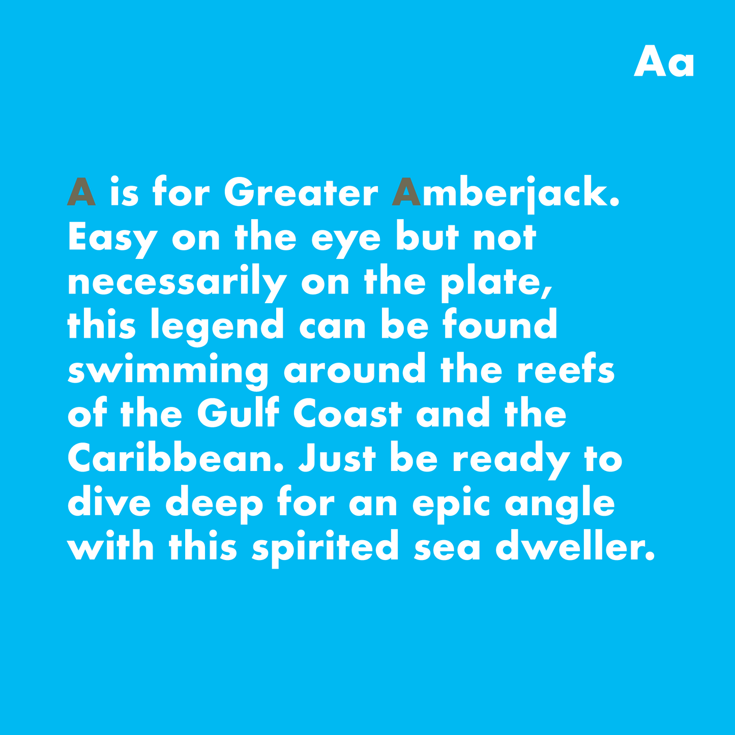 Fish Alphabet Book