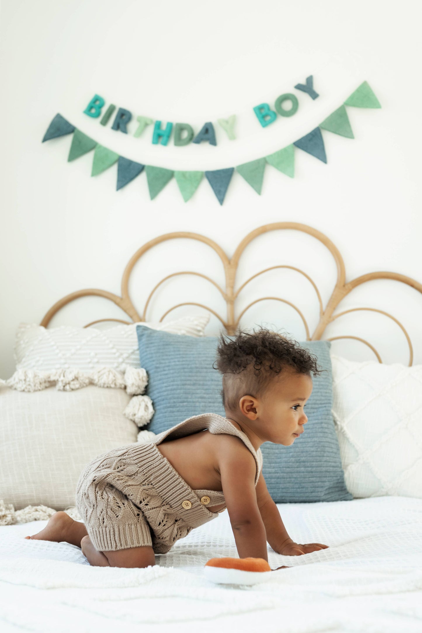 Birthday Boy Garland