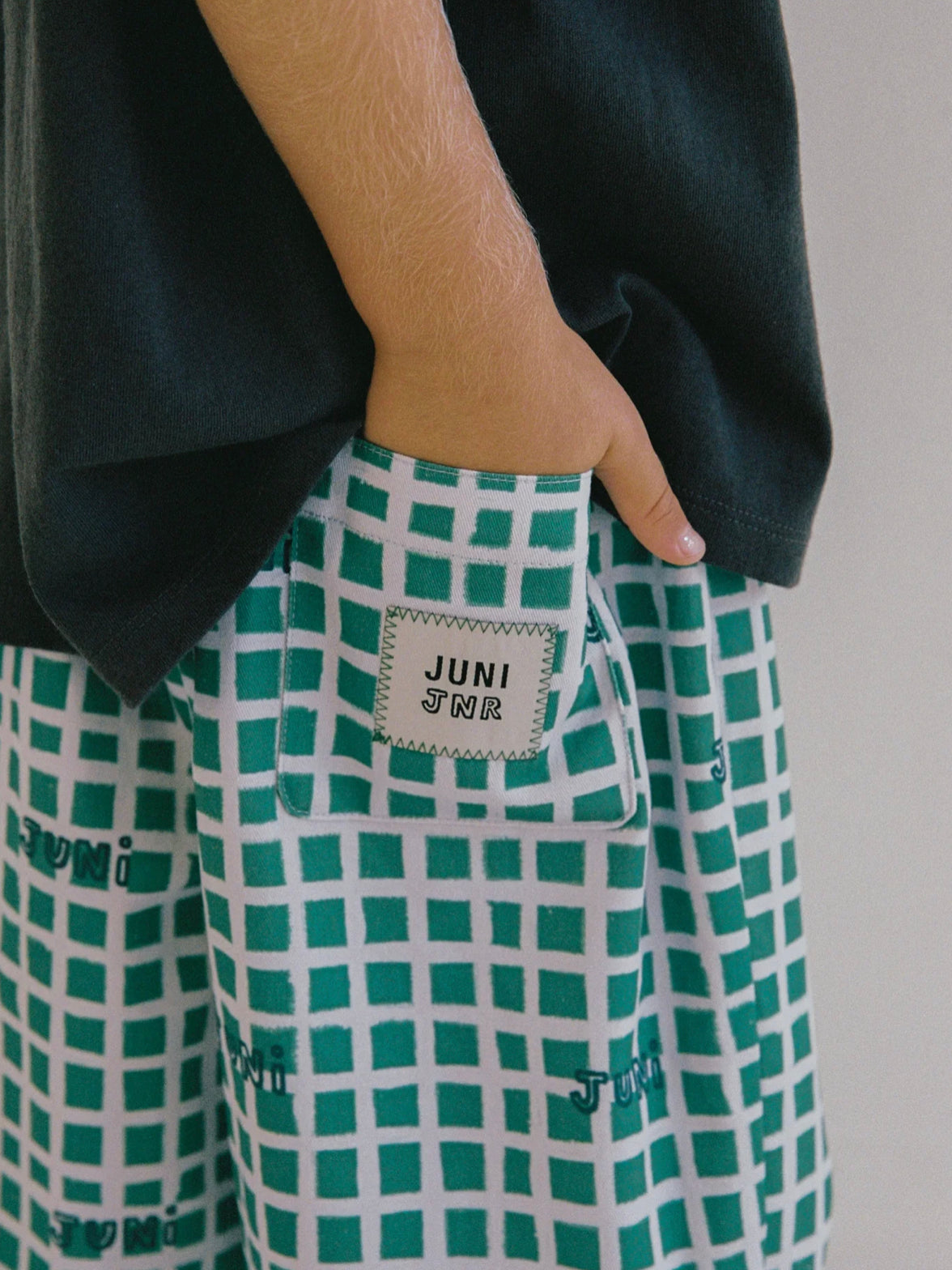 Lenny Pants - Painted Check