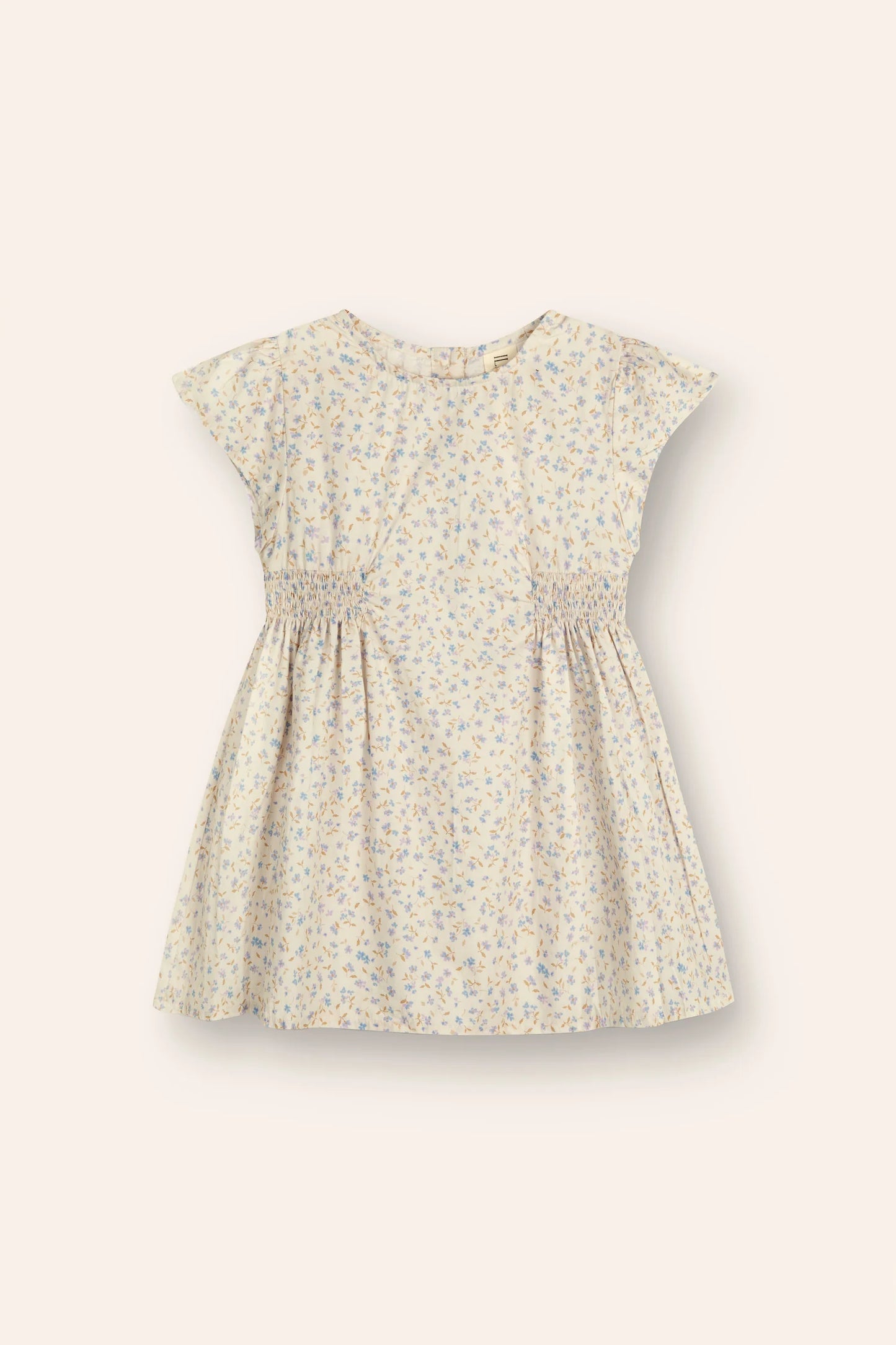 Blossom Dress | Indigo Bloom Print