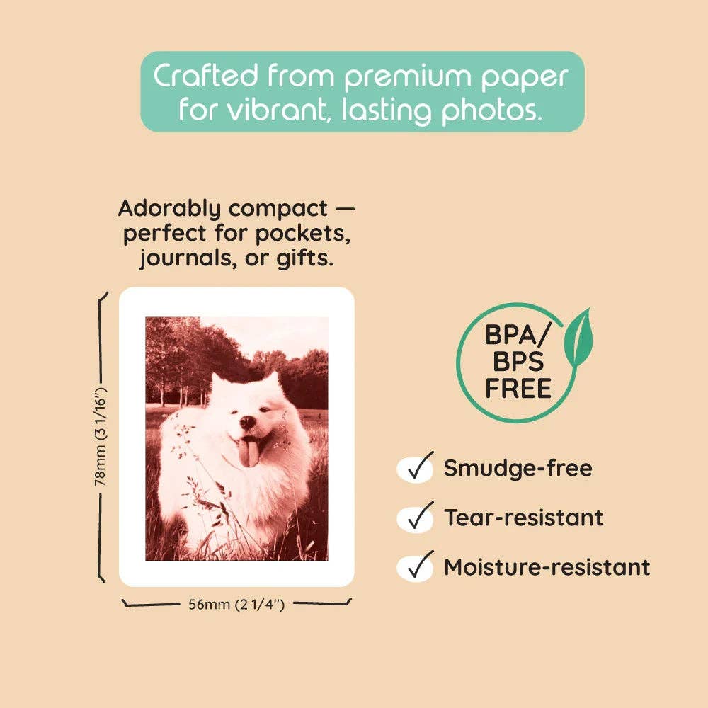 kiimento - Model P2 Print Pack | 120 Prints