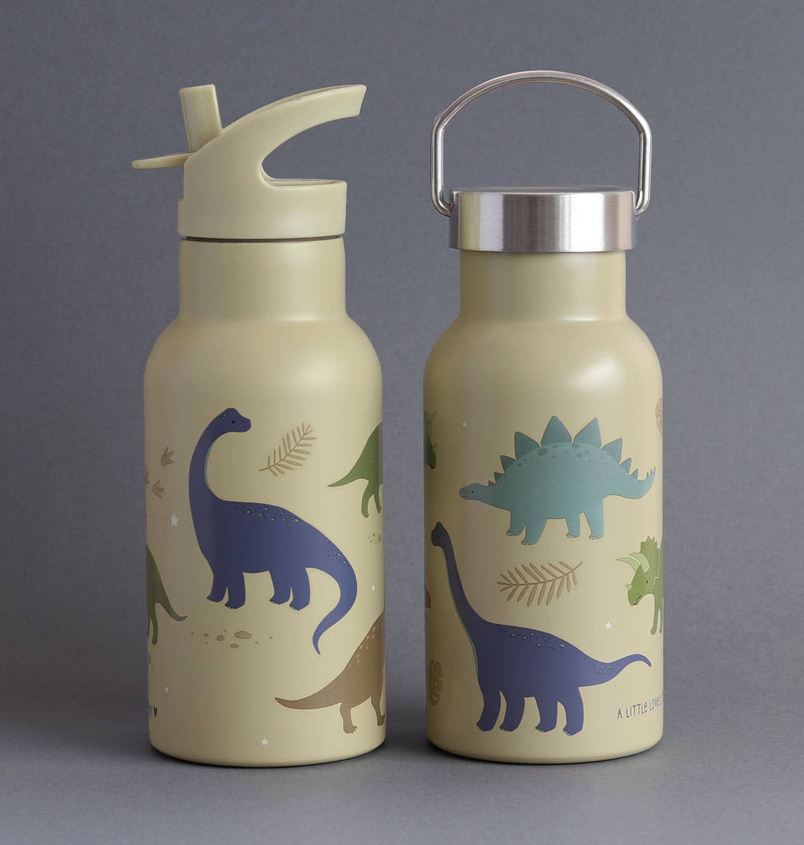 Stainless Steel Water Bottle: Dinosaurs