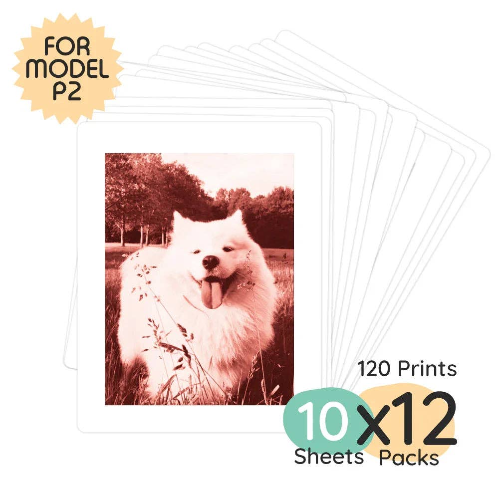 kiimento - Model P2 Print Pack | 120 Prints
