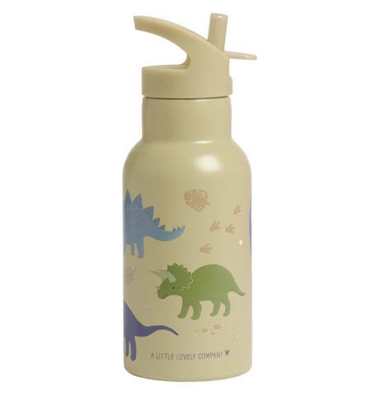 Stainless Steel Water Bottle: Dinosaurs