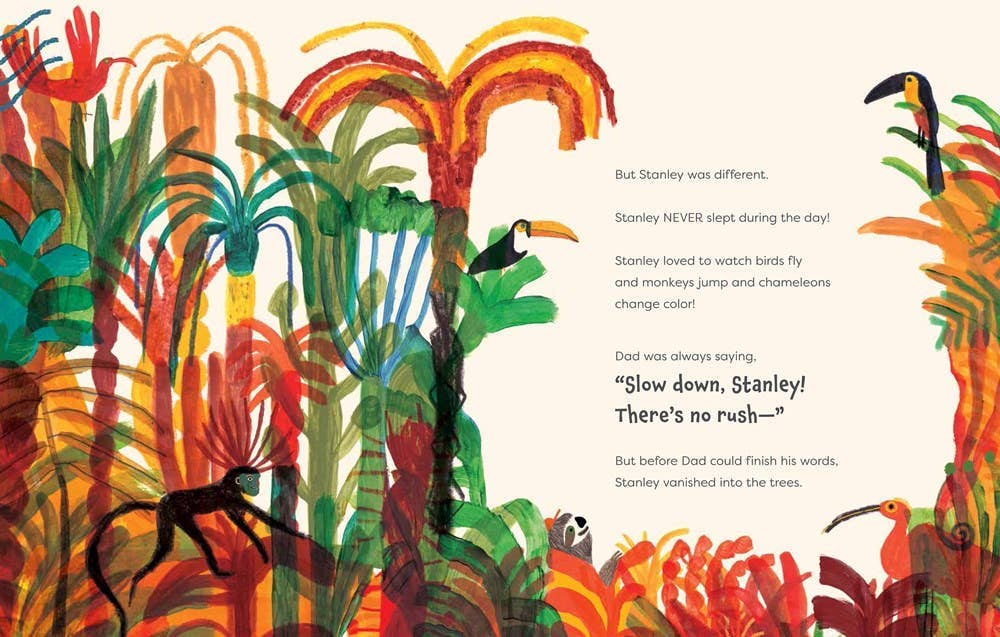 Slow Down, Stanley: Hardcover