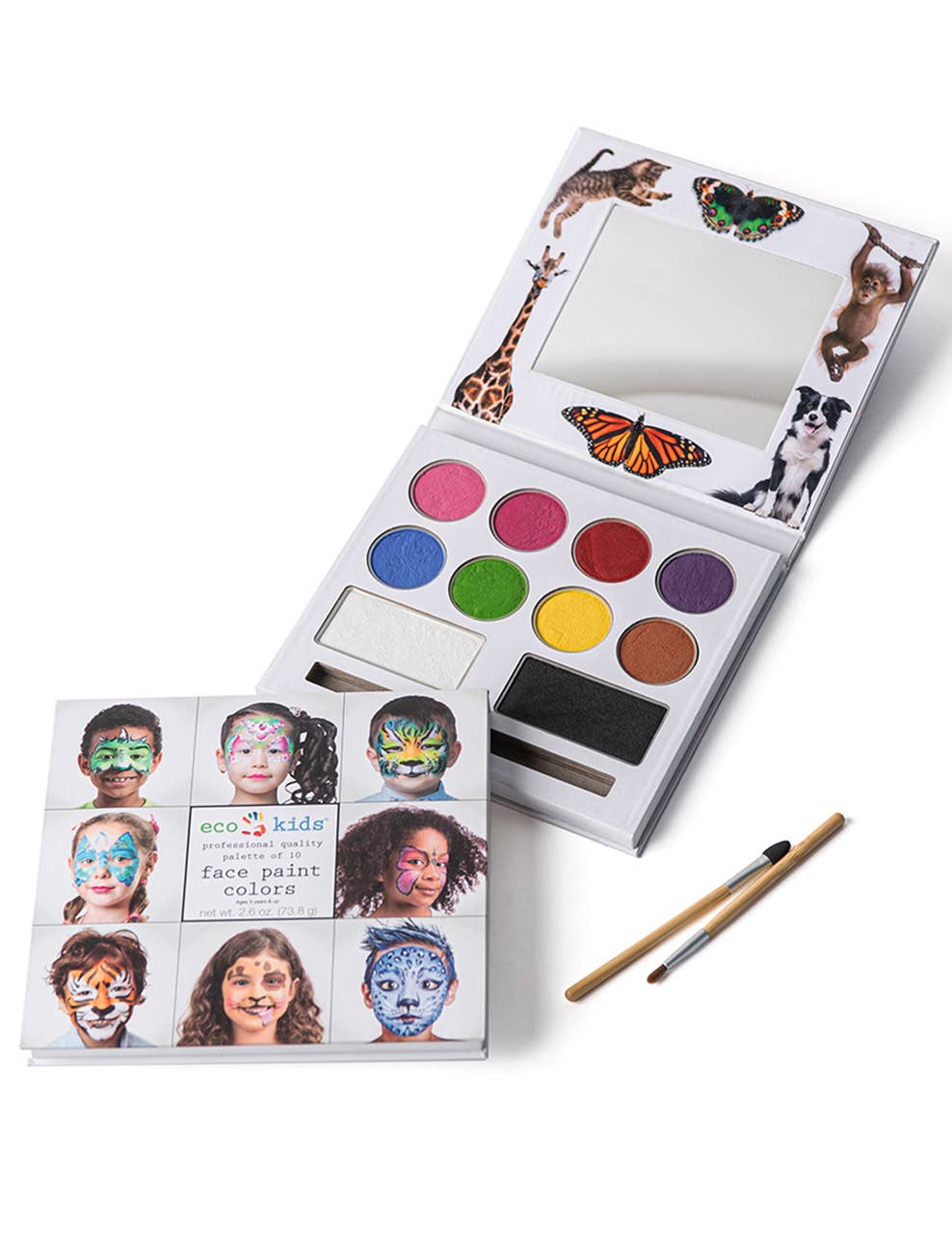 Face Paint -10 Non-Toxic Colors