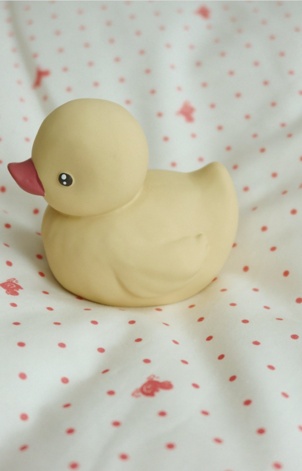 Duck Bath Toy