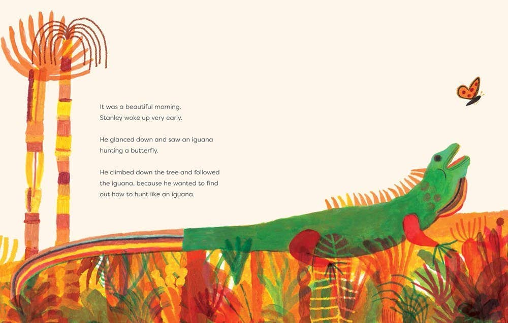 Slow Down, Stanley: Hardcover