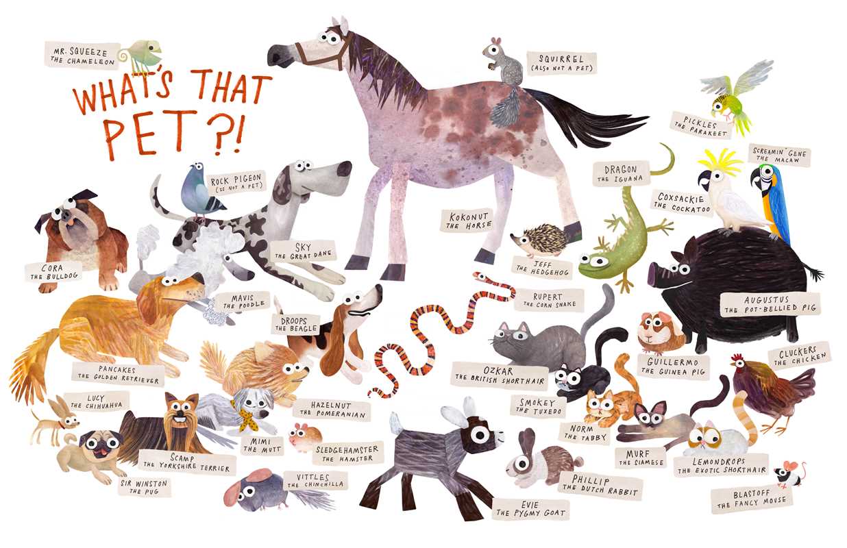 Some Pets by Angela DiTerlizzi: Hardcover
