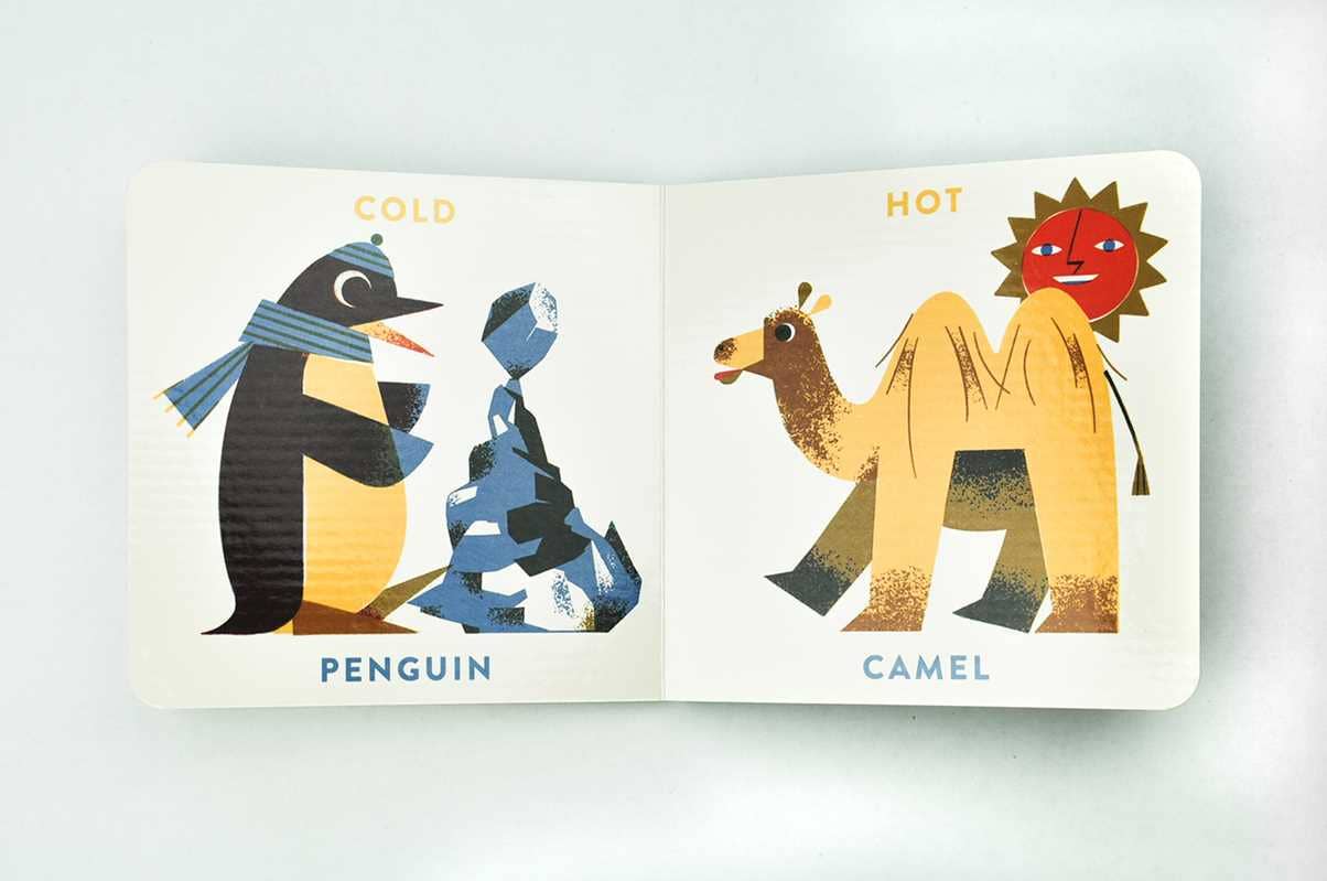Animal Opposites by Marcos Farina: Board Book