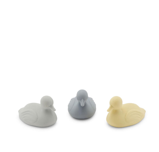 Pondering Ducks