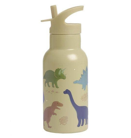 Stainless Steel Water Bottle: Dinosaurs