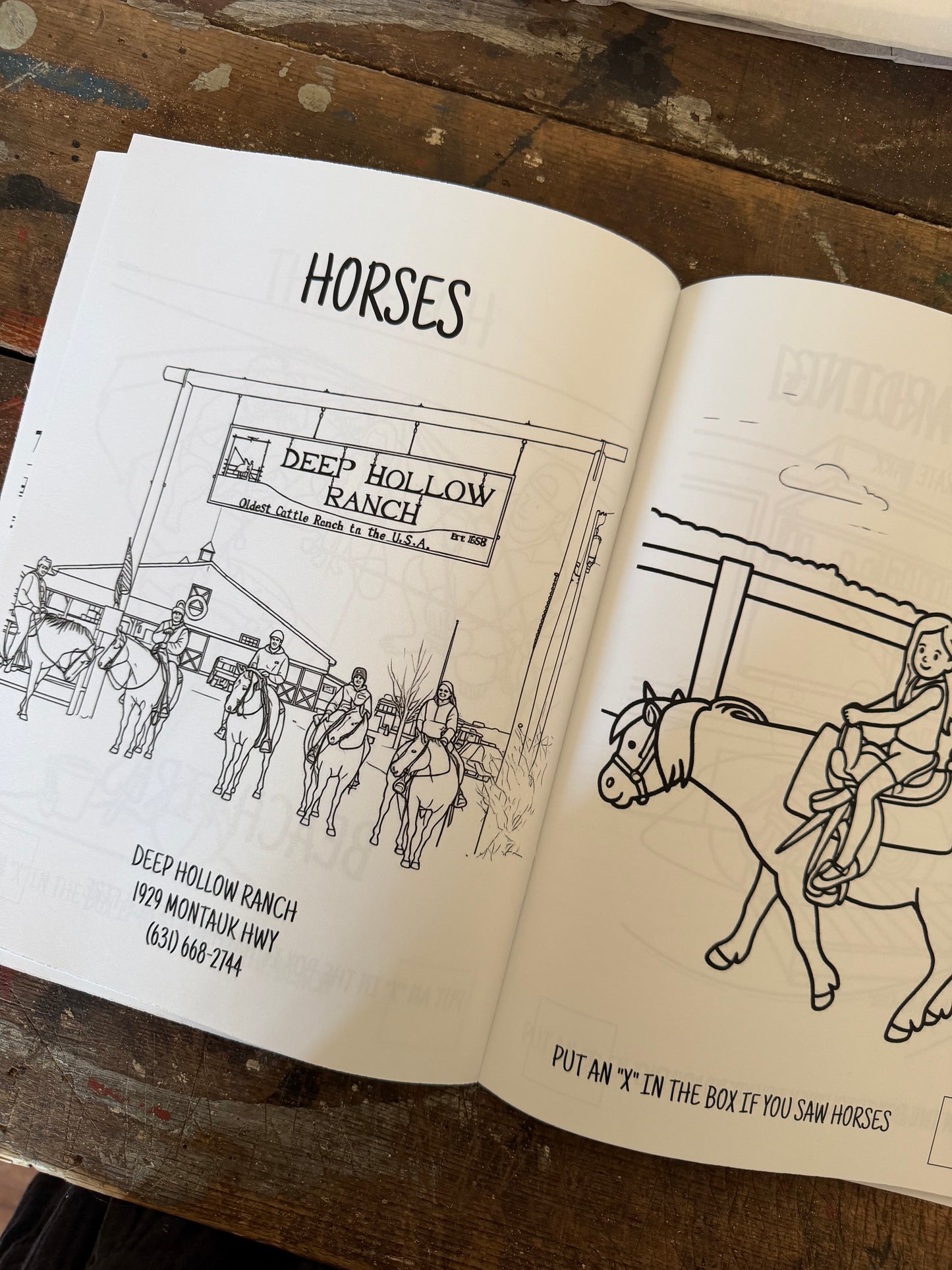 Montauk Coloring Book