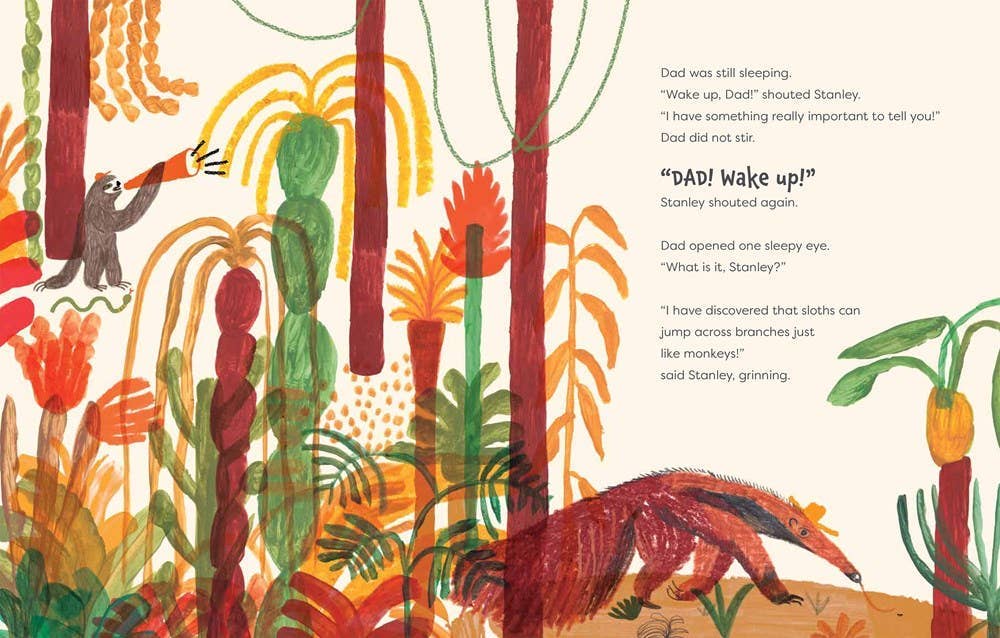 Slow Down, Stanley: Hardcover