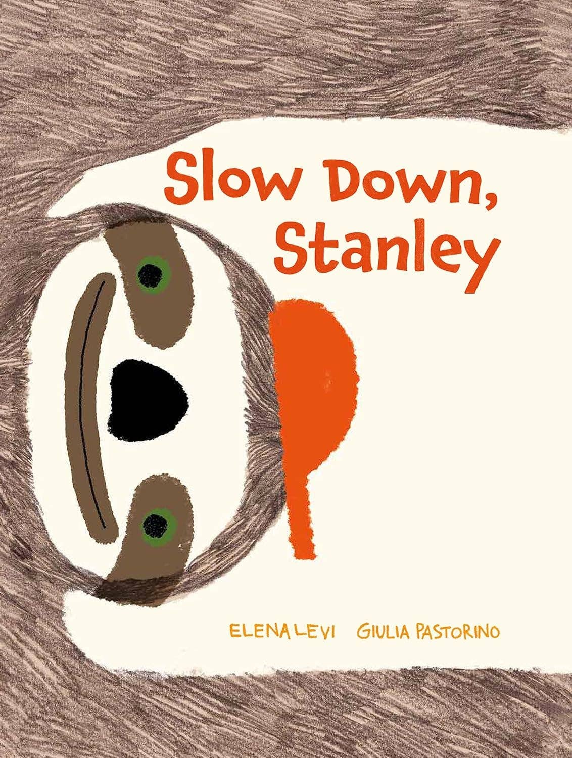 Slow Down, Stanley: Hardcover