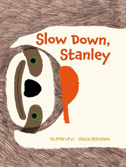 Slow Down, Stanley: Hardcover