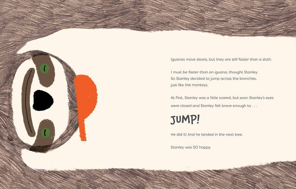 Slow Down, Stanley: Hardcover