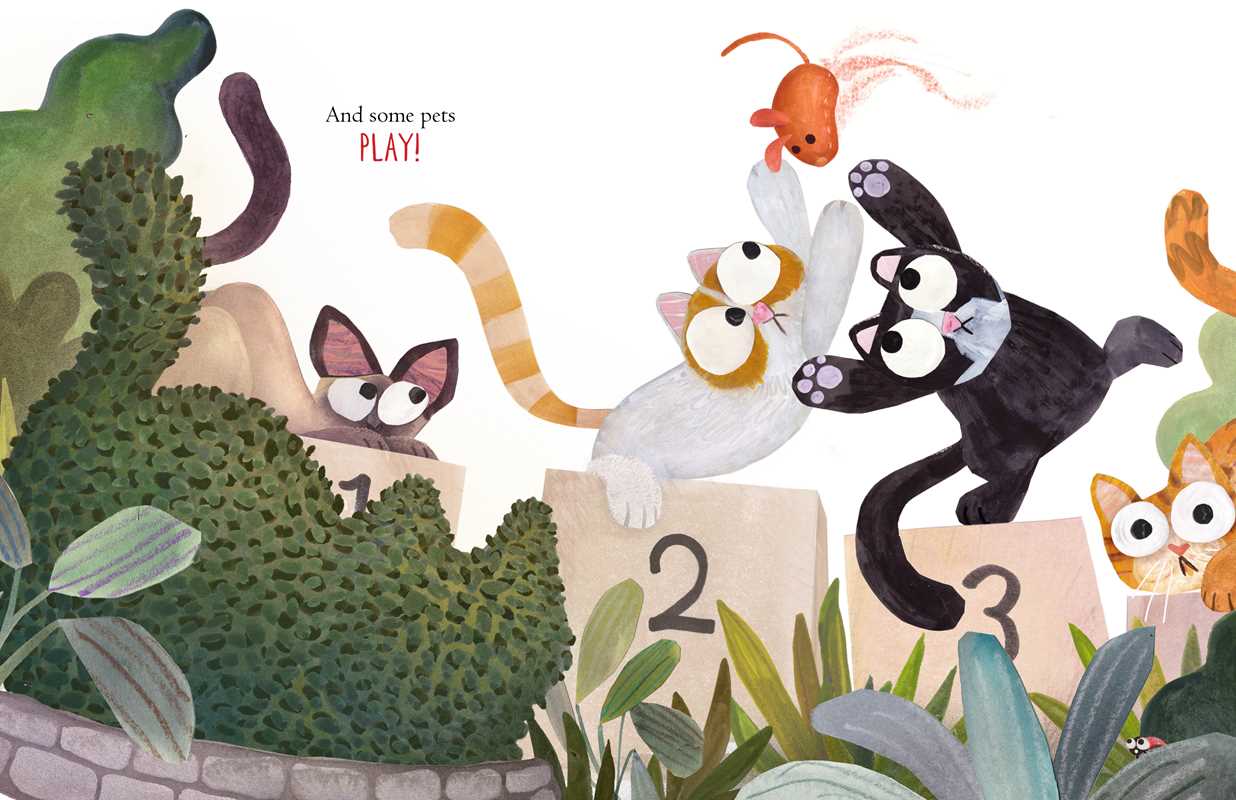 Some Pets by Angela DiTerlizzi: Hardcover