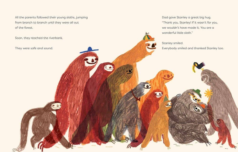 Slow Down, Stanley: Hardcover